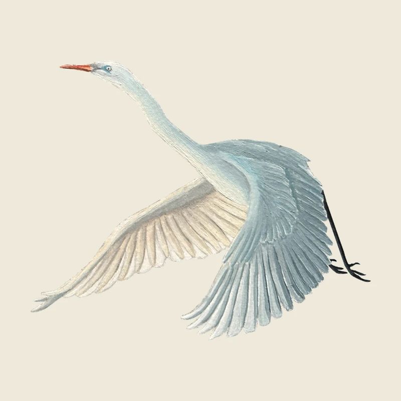 Great White Egret Illustration