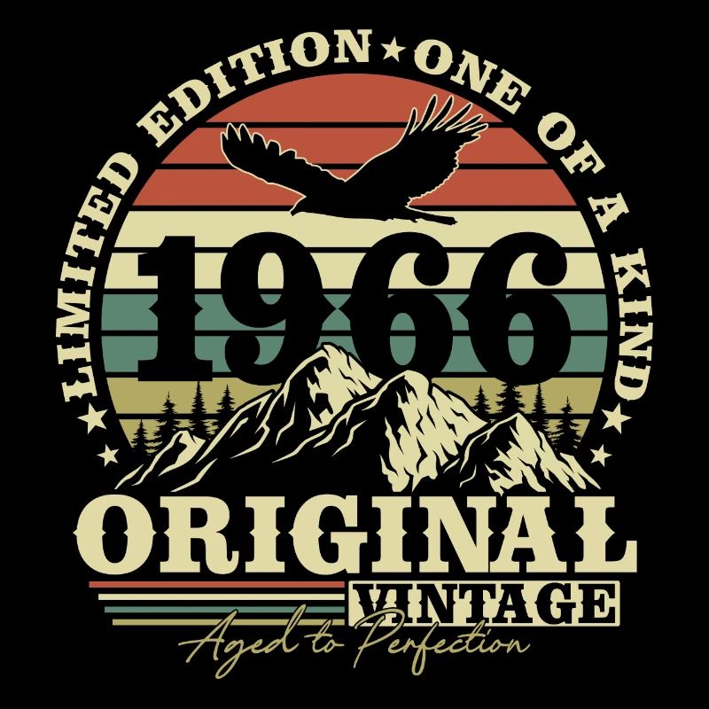Original 1966 Vintage Vintage Rétro Anniversaire
