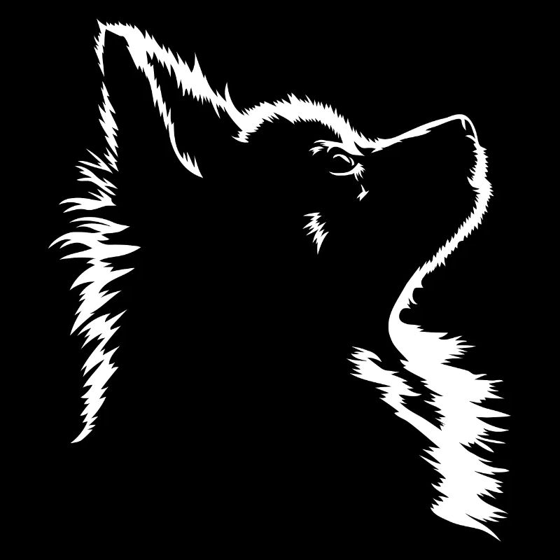 Pomeranian Hund Hunde Zwergspitz Wilsigns