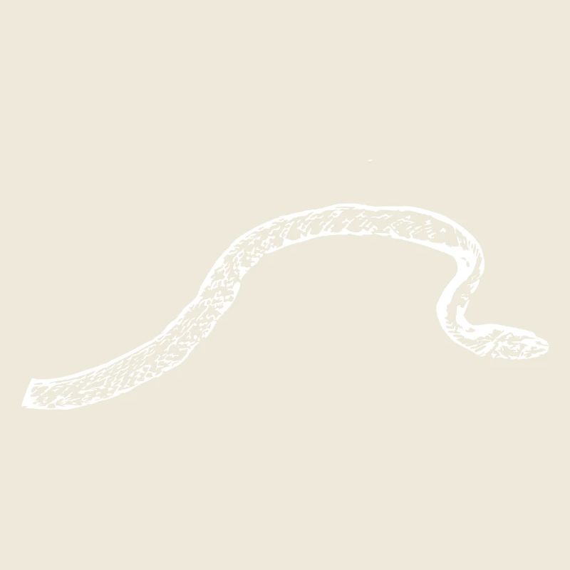 Snake Snakes