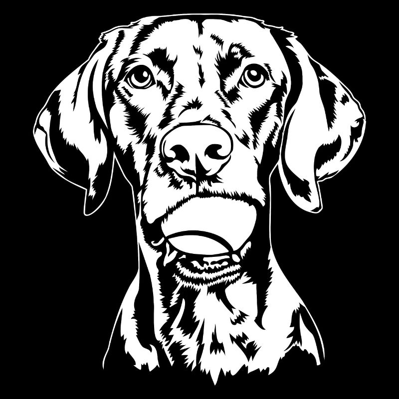 Vizsla Ball Ball Junkie Dogs Wilsigns