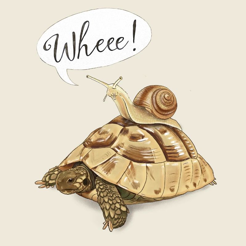 Joyride mit Schildkröte und Schnecke (englisch)
