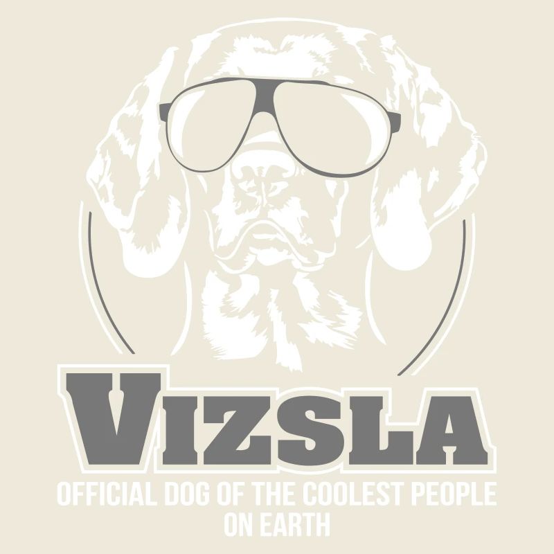 Vizsla gens les plus cool
