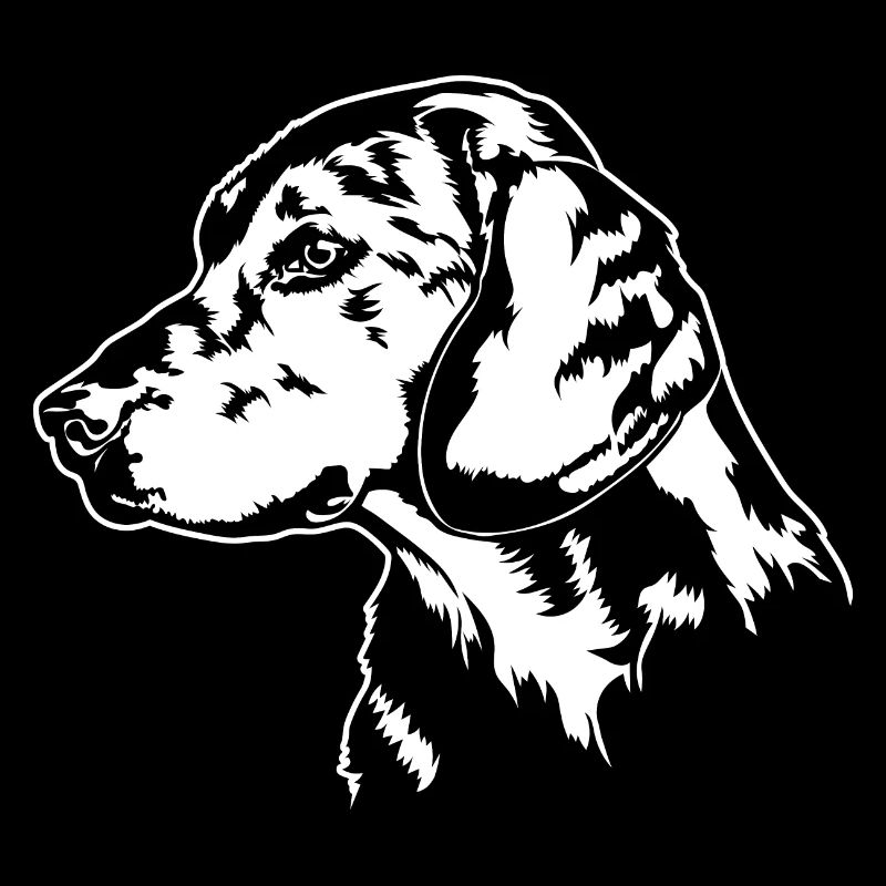 ALPENLÄNDISCHE DACHSBRACKE Hundeportrait Wilsigns