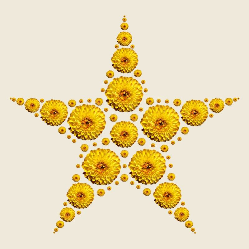 gelber Dahlien Stern