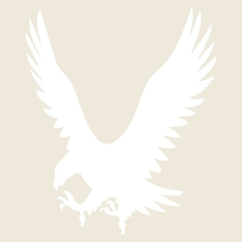 Les Eagles à l’attaque