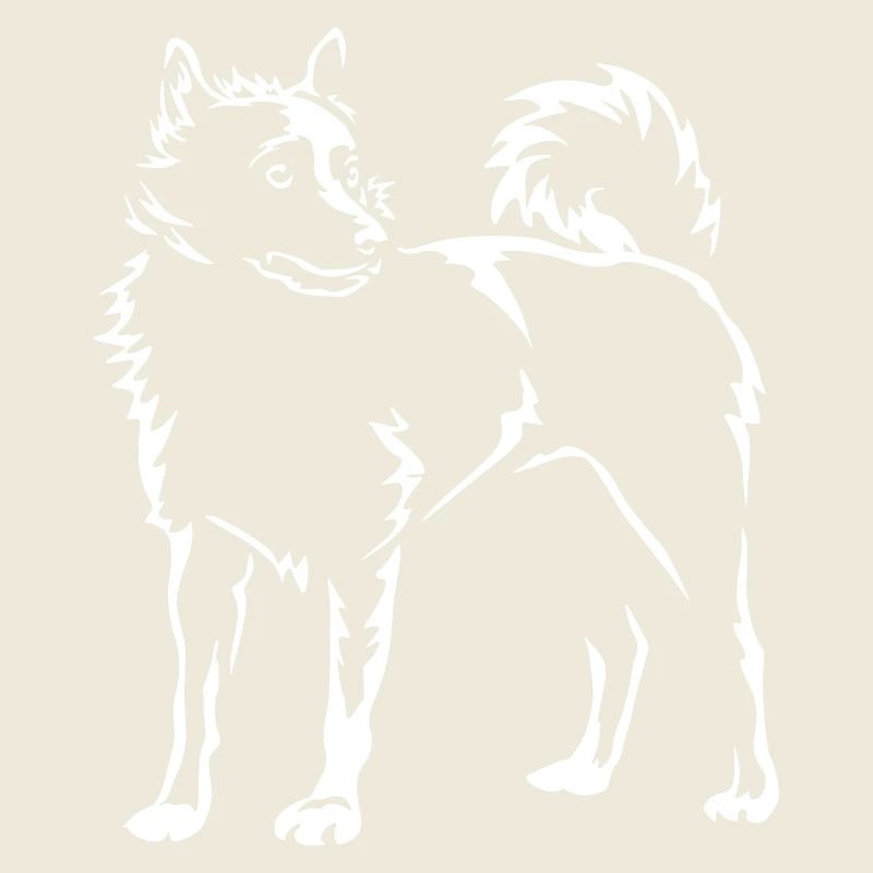 Schipperke "Black Edition"