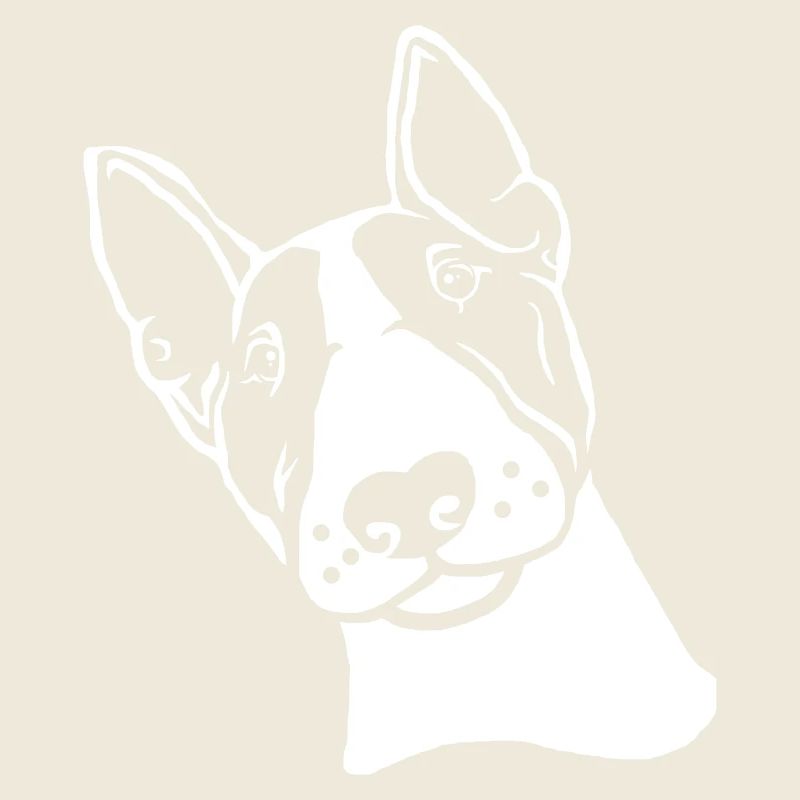 Miniature Bull Terrier