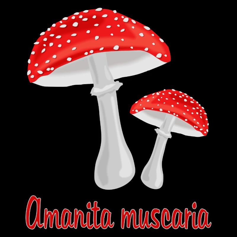 Champignons d’automne