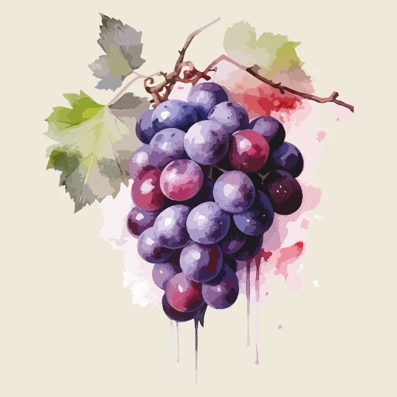 Weintrauben Aquarell 