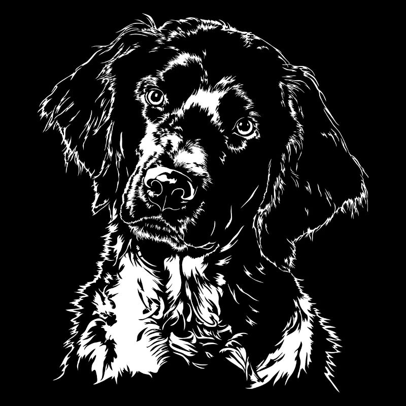 GROSSER MÜNSTERLÄNDER Jagdhund Jagdhunde Wilsigns