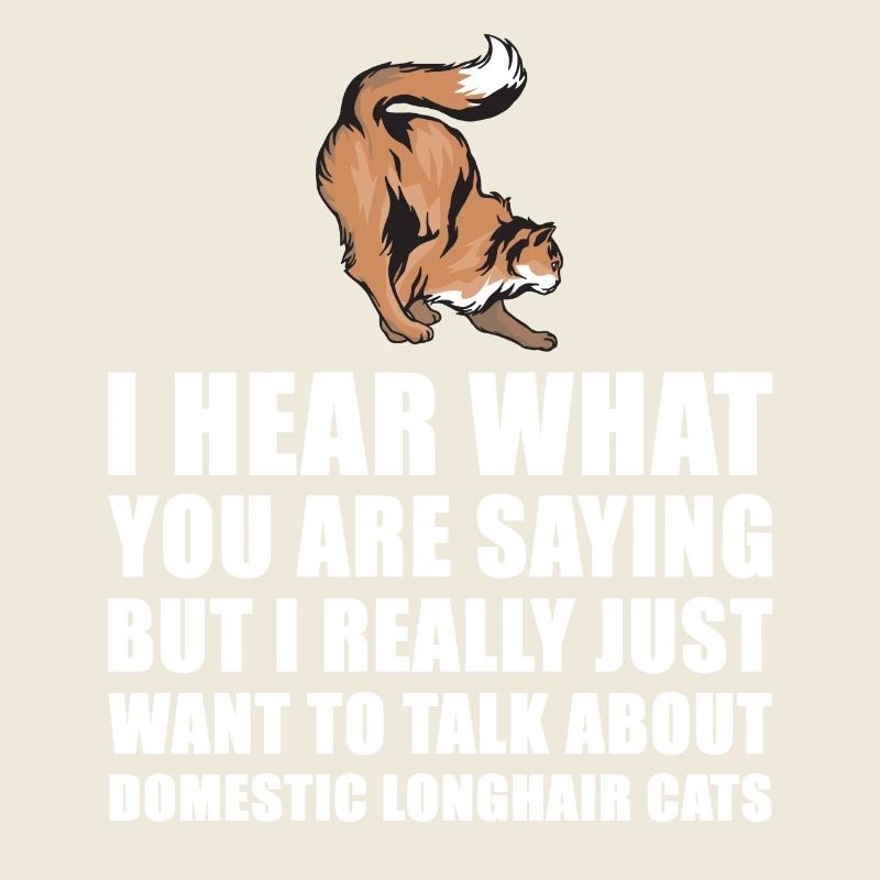 Longhair Chat cadeau mignon