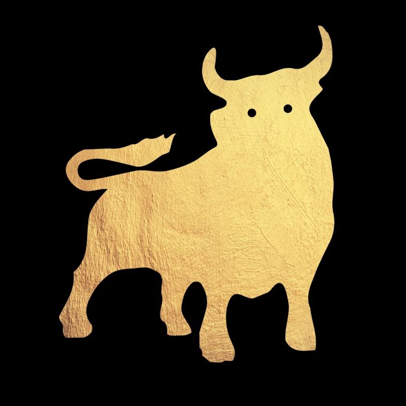 gold stier