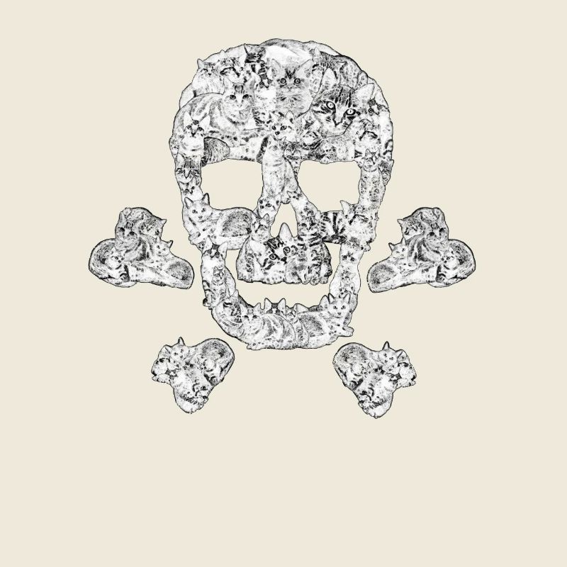 Cadeau de pirate drôle de chat Skull Crossbone Kitty Kitten