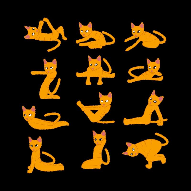 Cats doing Yoga