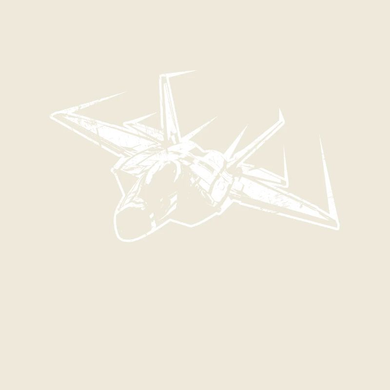 Pilot Kampfjet Militär Düsenjet Kampfpilot