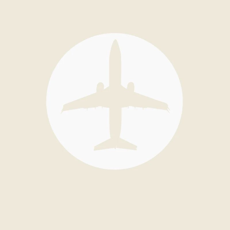 Pilot Airplane Airplane Gift