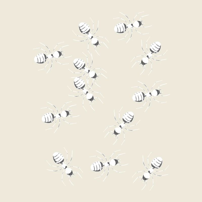 Ants Ant Insect Insects Pests Phobia