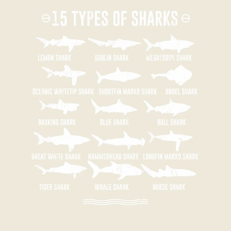 Requins - 15 types de requins