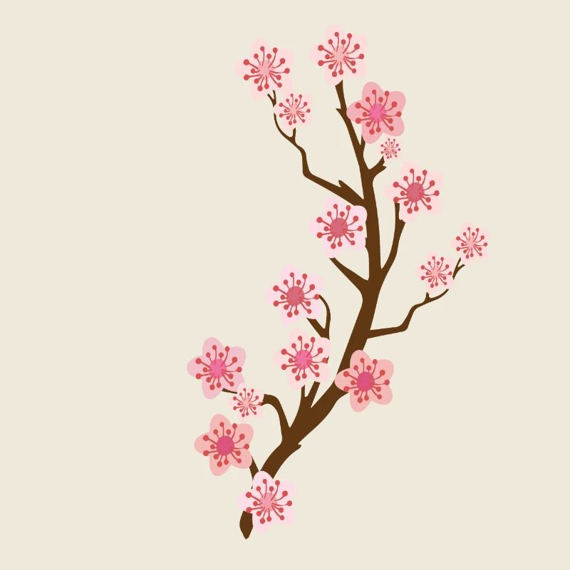 Cherry Blossom