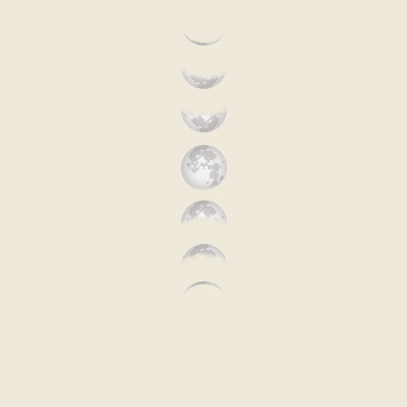 Moon Moon Moon Phases Full Moon Lunar Eclipse Total