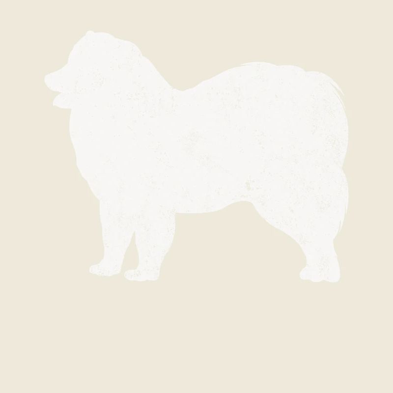 Samojede Samoyed Hundebesitzer