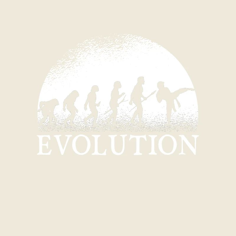Karate Evolution