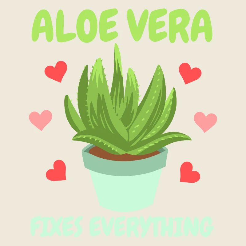Aloe Vera Succkulente