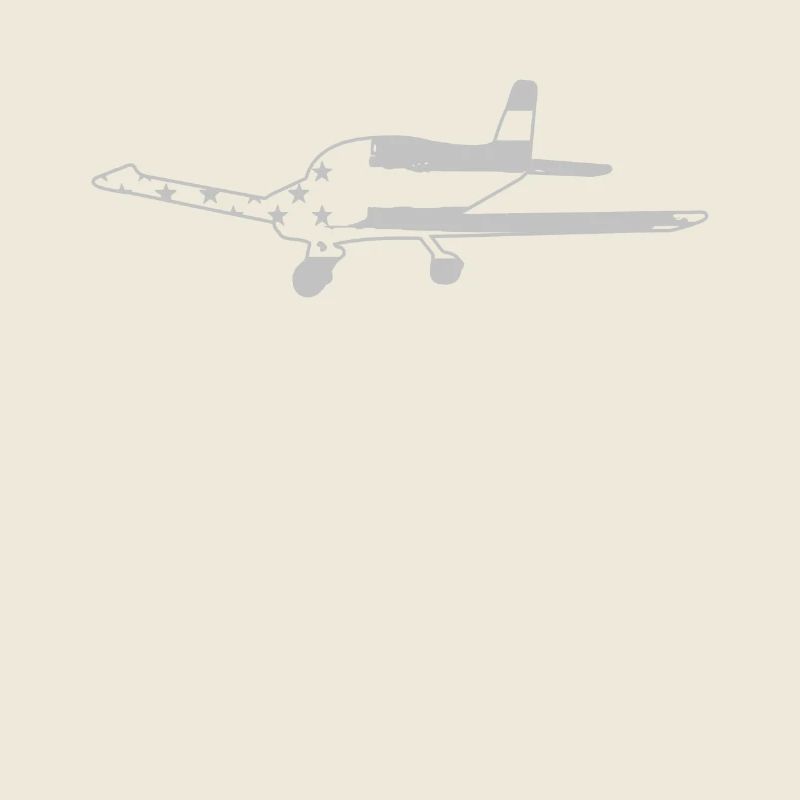 Flugzeug Pilot Luftfahrt