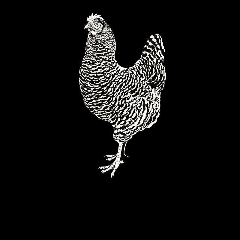 Dessin noir et blanc d’un poulet Amrock