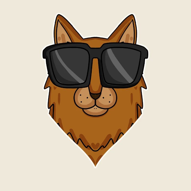 Chat somalien avec lunettes de soleil