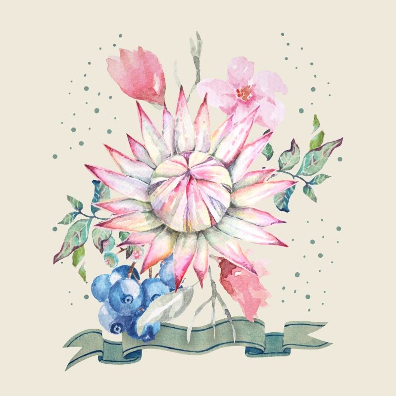 Aquarelle Protea, illustration protea