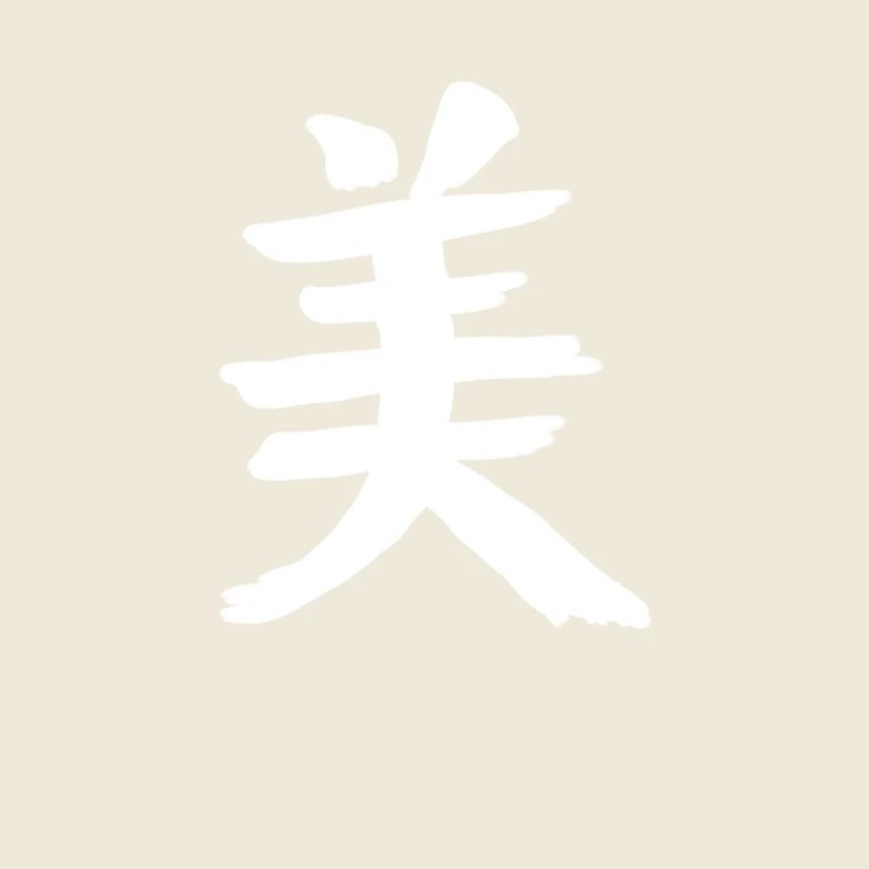 Beauty Chinese Script Character Symbol