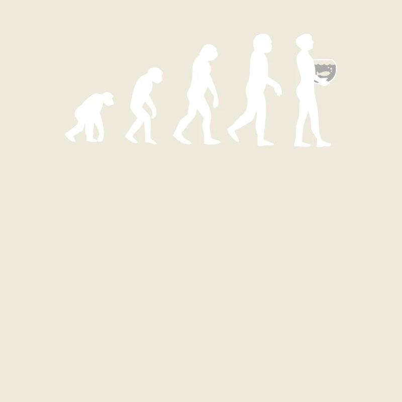 Aquarium Aquaristique Evolution