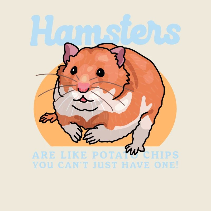 Hamster Nain Hamster Golden Hamster Cadeau