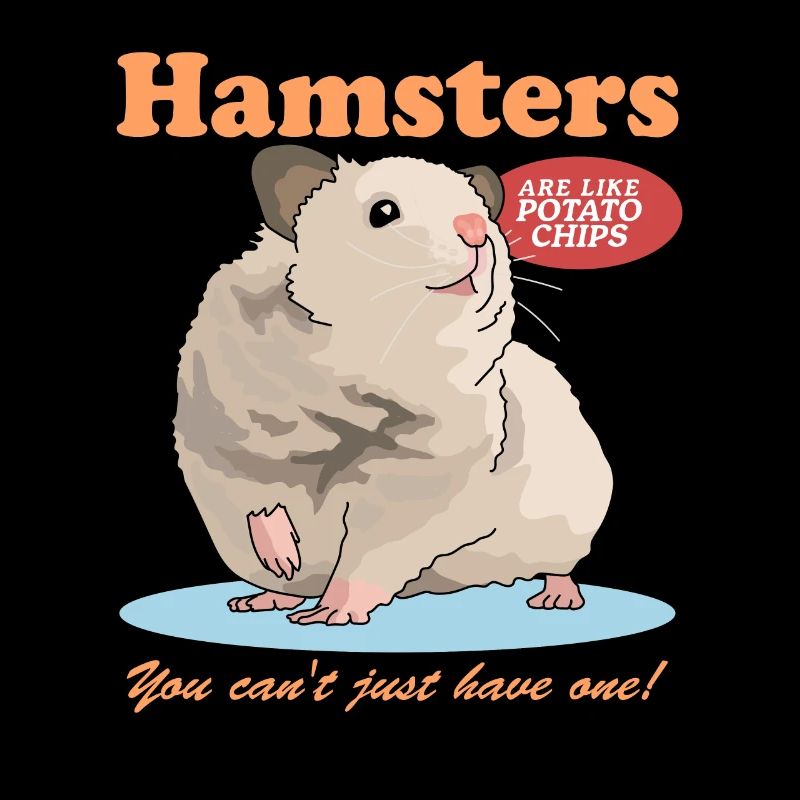 Hamster Golden Hamster Hamster Nain Cadeau