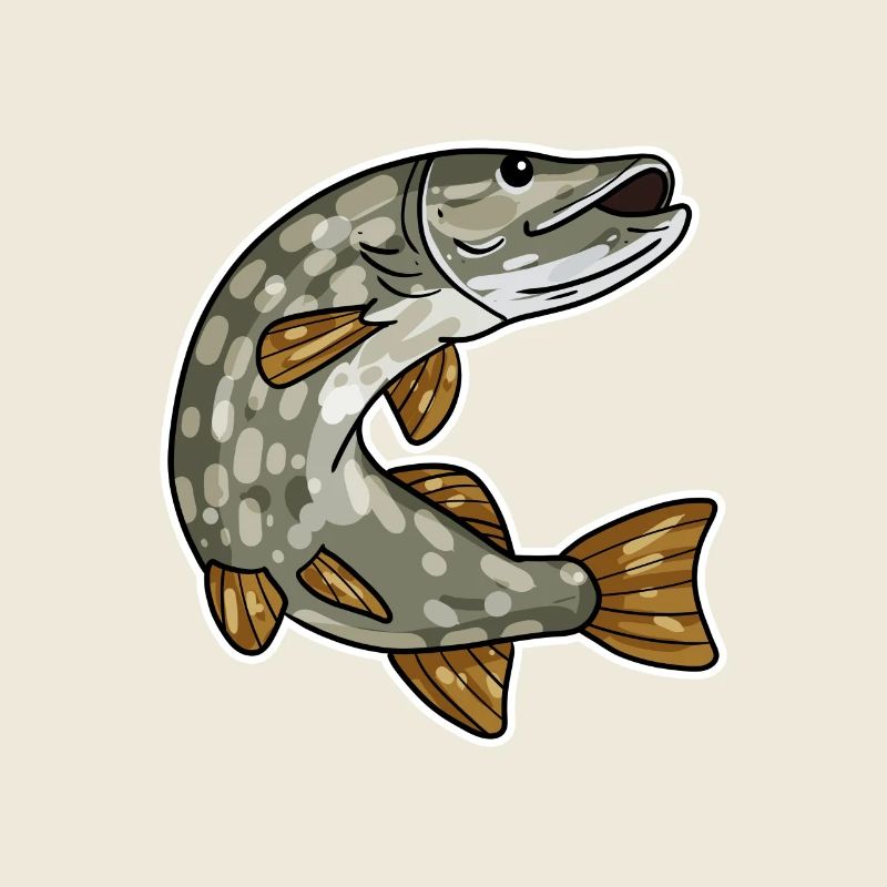 Brochet