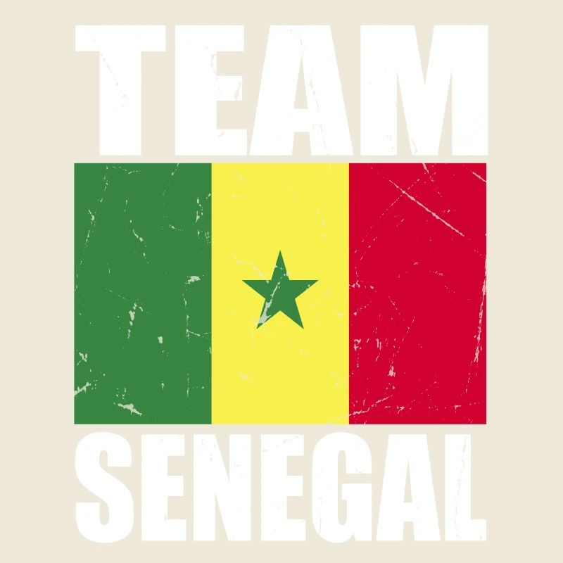 Équipe du Sénégal de football