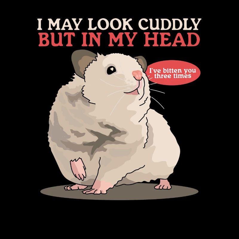 Hamster Goldhamster Zwerghamster Geschenk