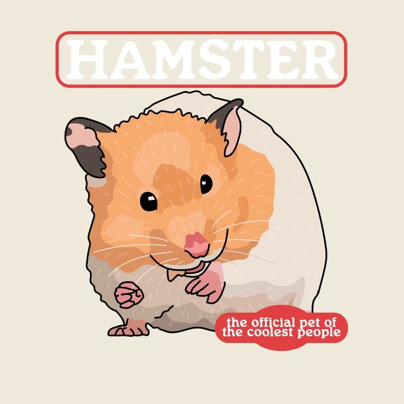 Hamster Golden Hamster Hamster Nain Cadeau