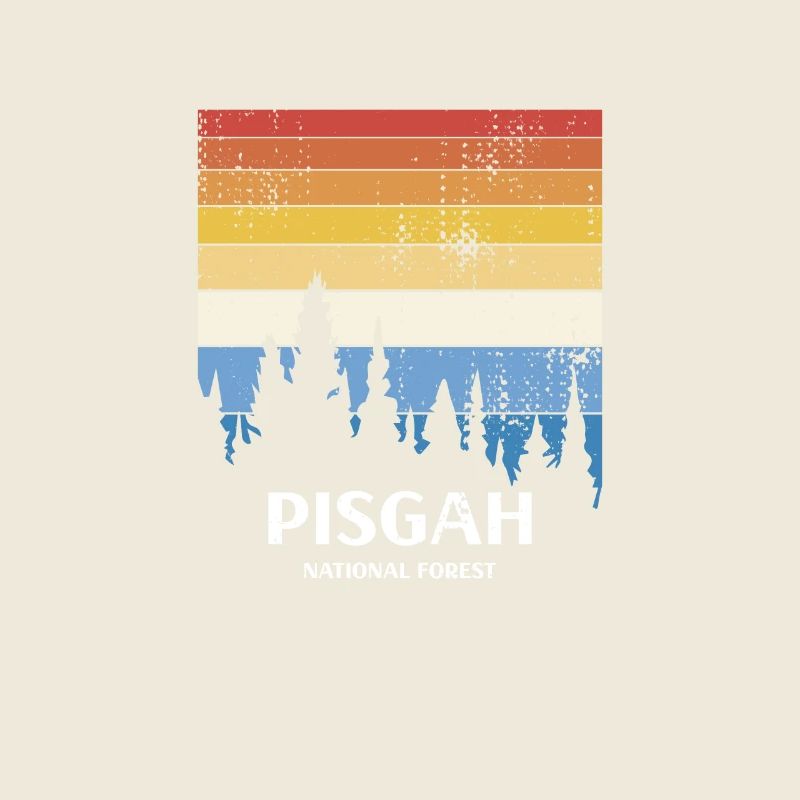 Forêt nationale de Pisgah