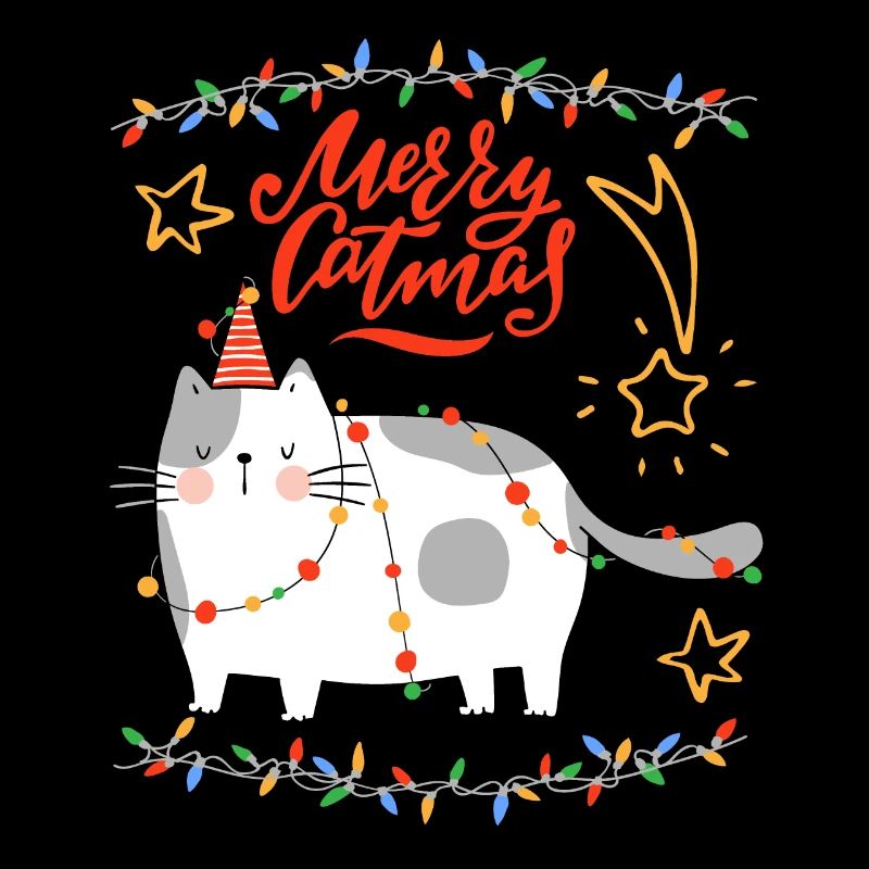 Merrry-Catmas, Jeu de mots, Noël avec drôle de chat