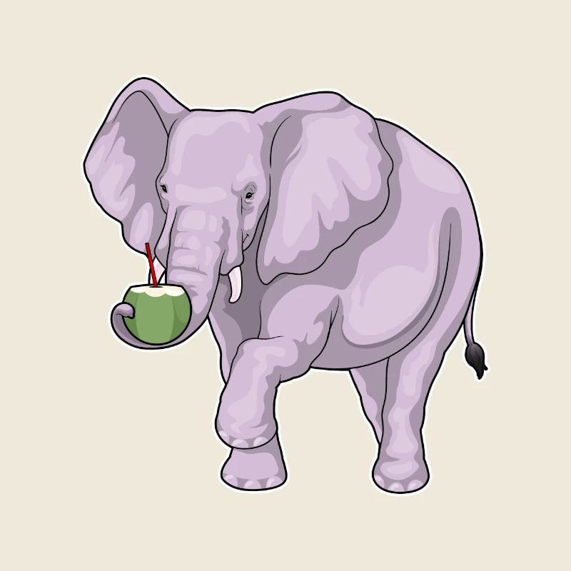 Éléphant Noix de
