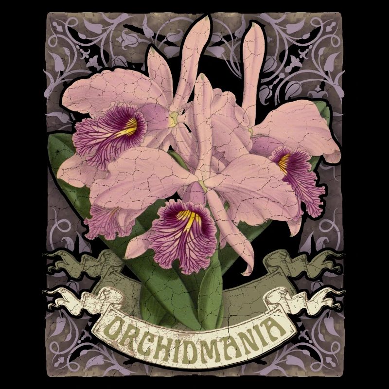 Orchids, Vintage Botanical Illustration