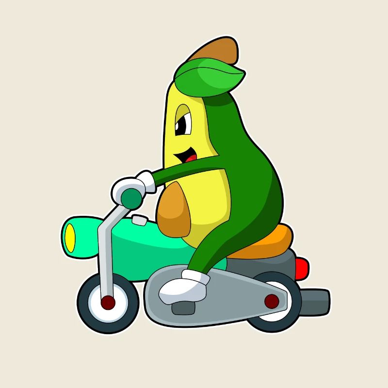Moto Avocado