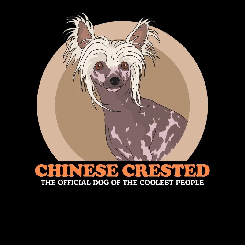 Chinesische Schopfhunde Chinese Crested Geschenk