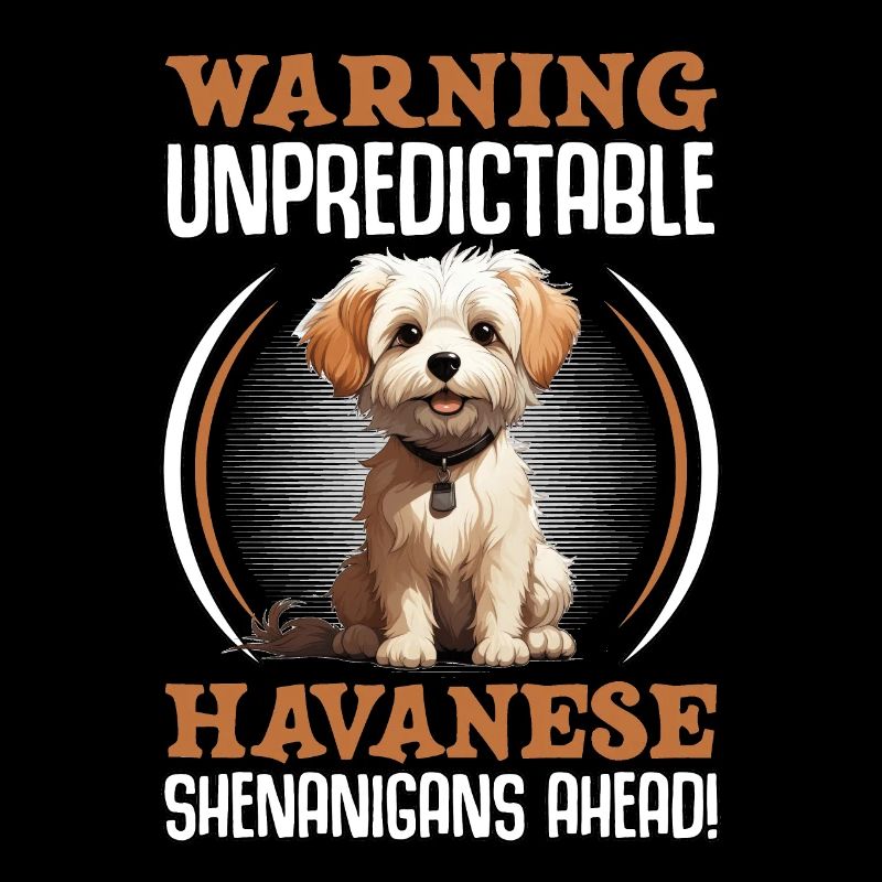 Warning unpredictable Havanese Shenanigans ahead