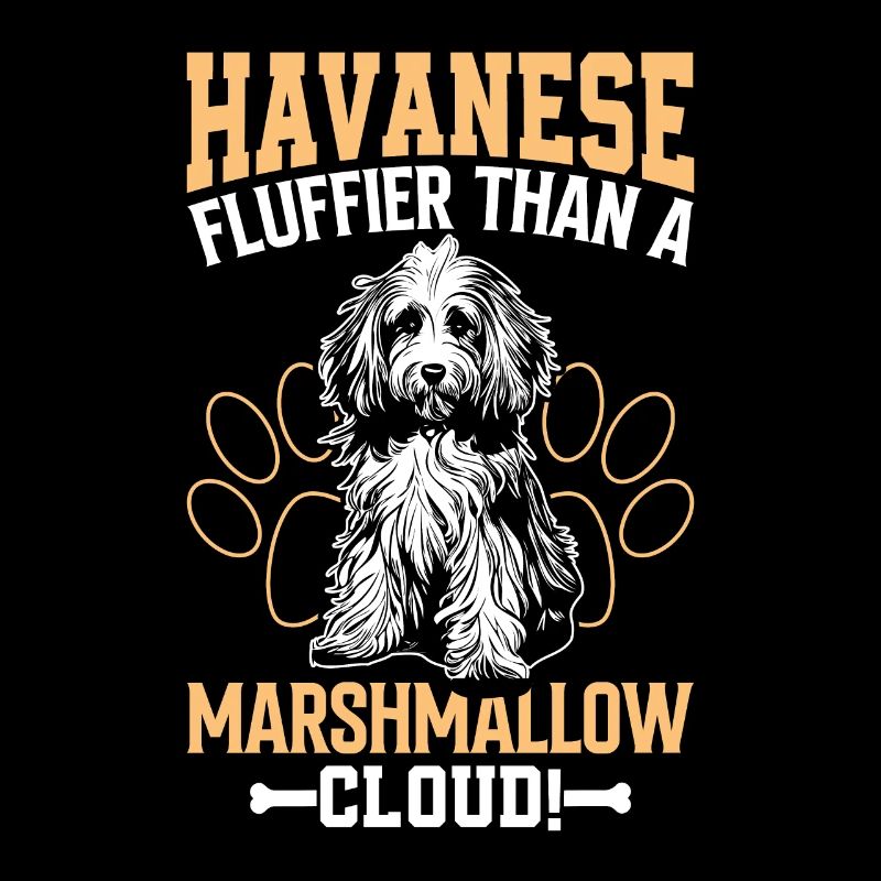 Havaneser fluffier than a Marshmallow Cloud