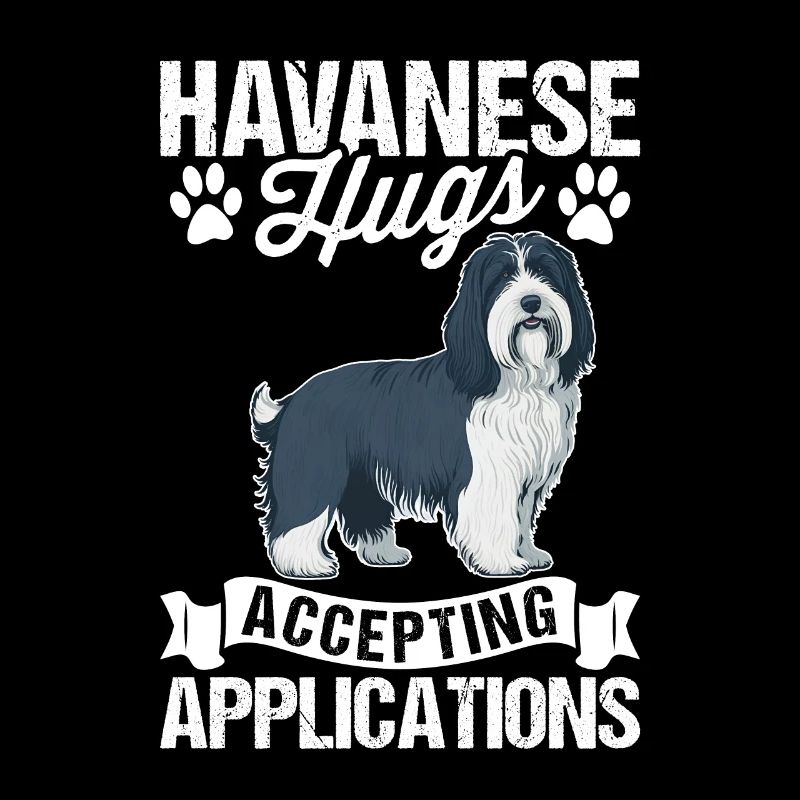 Le bichon havanais accepte les candidatures