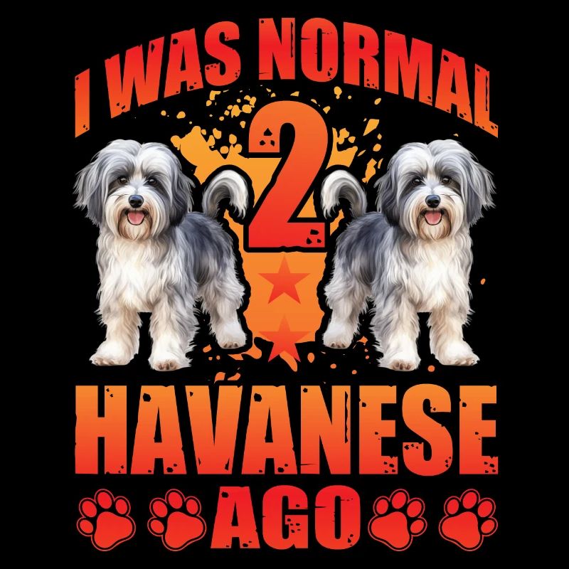 I was normal 2 Havanese ago